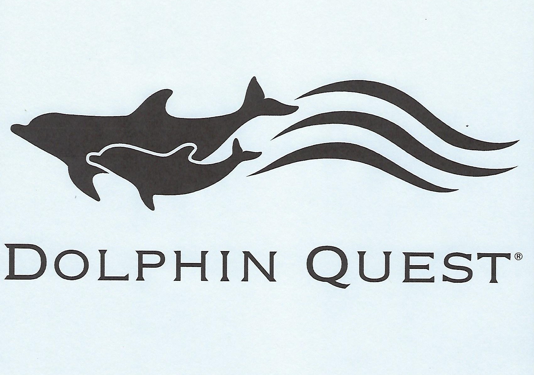 Dolphin Quest